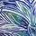 Artesands: Palmeline Botticelli High Waist Swim Pant Navy - Image 6