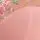 Elomi: Aerith Brazilian Rose - Image 4
