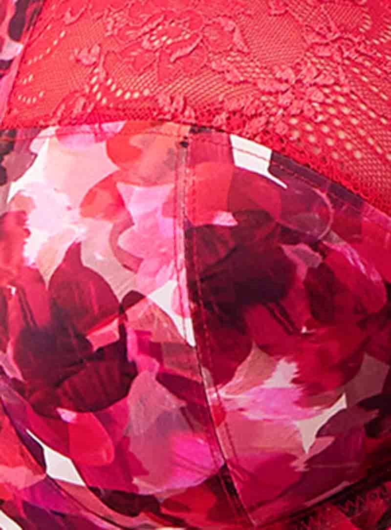Elomi: Morgan High Leg Brief Berry Crush - Image 5