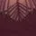 Elomi: PRE-ORDER: Reja Brazilian Brief Fig - Image 5