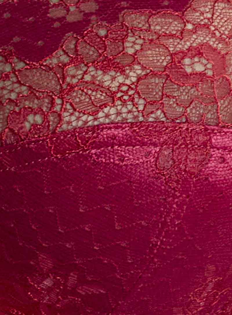 Panache: Clara High Waist Brief Orchid Red - Image 4