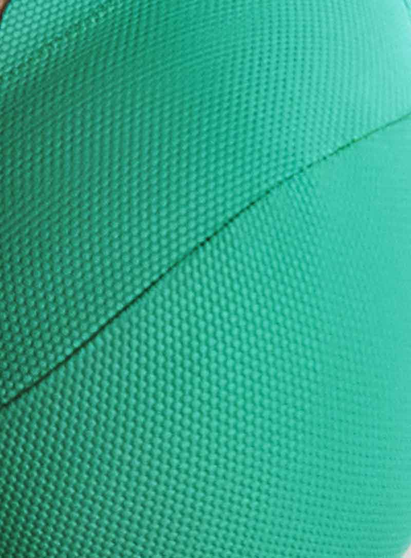 Panache Swimwear: Spirit High Waist Brazilian Verde - Image 4