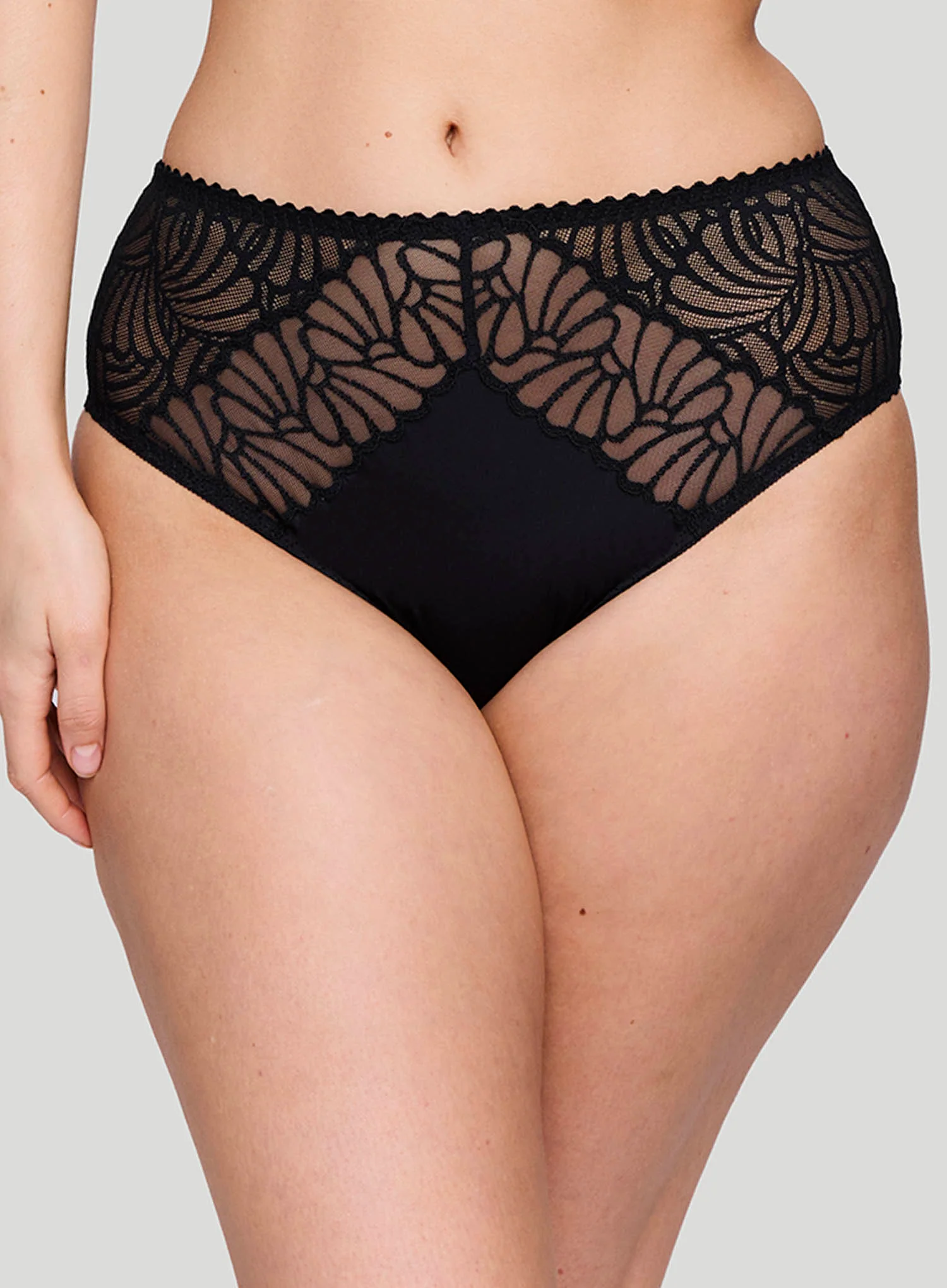 Primadonna: Gallipoli Full Brief Black - Image 5