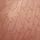 Triumph: Triumph Signature Sheer WHP EX Bra Toasted Almond - Image 5