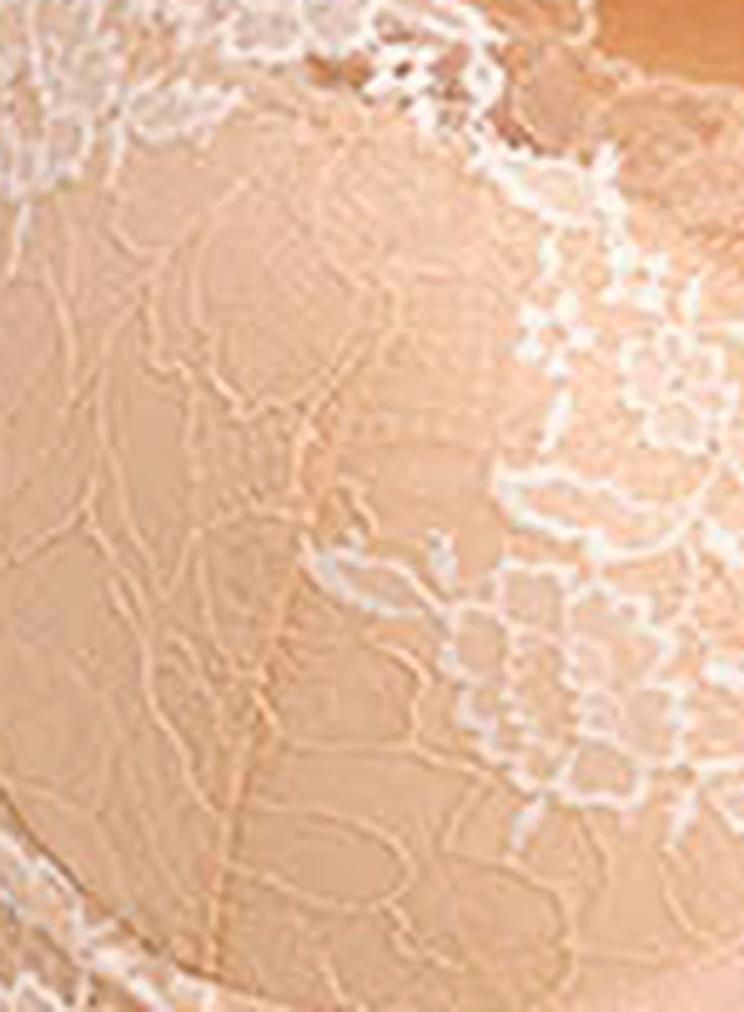Wacoal: Lace Perfection Underwired Plunge Bra Cafe Creme - Image 4