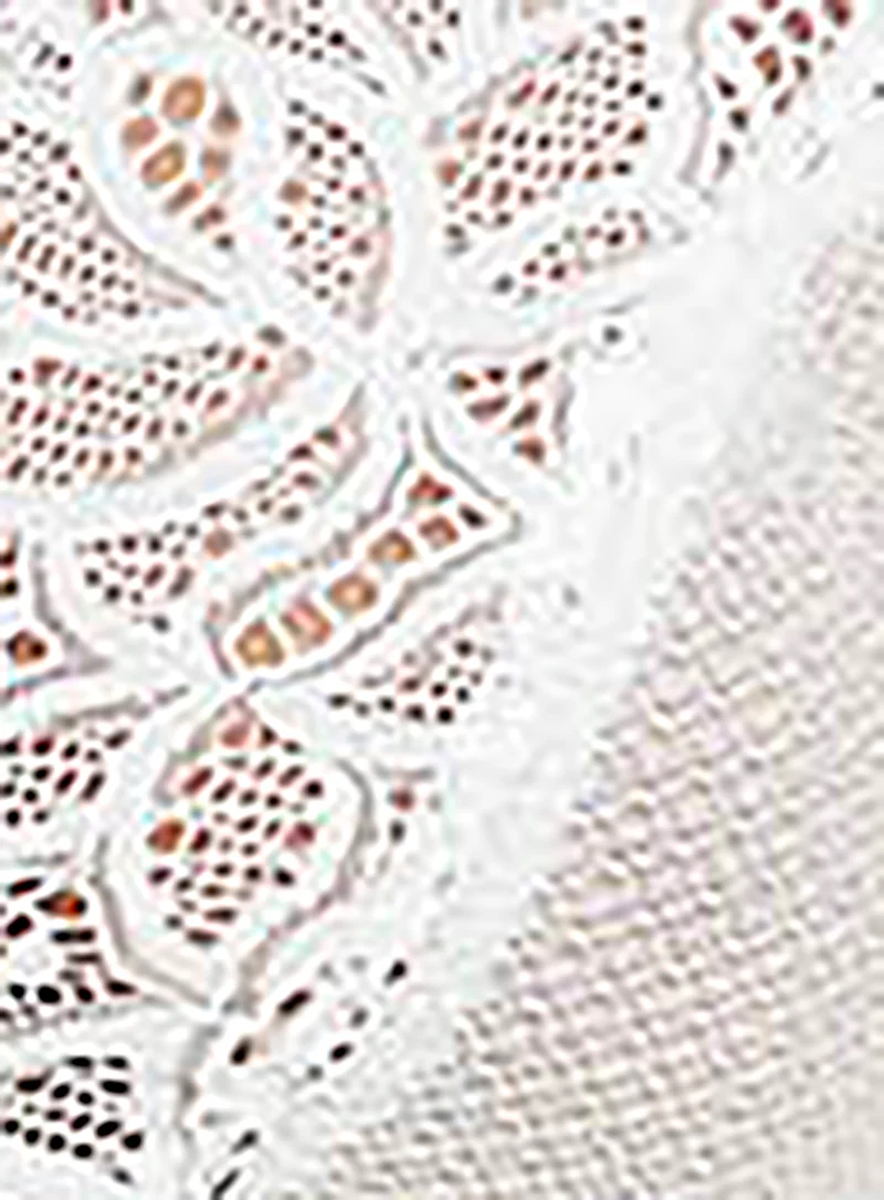 Wacoal: Raffine Full Brief White - Image 4